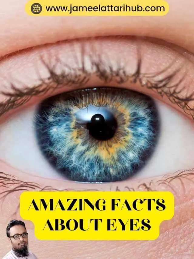 Amazing Facts about Eyes