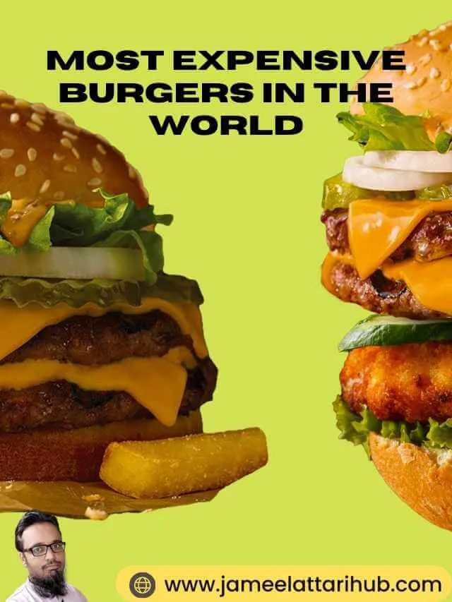 Most Expensive Burgers in the World